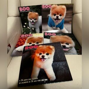Boo The World’s Cutest Dog 2016 2017 2018 2019 2020 Calendar Lot